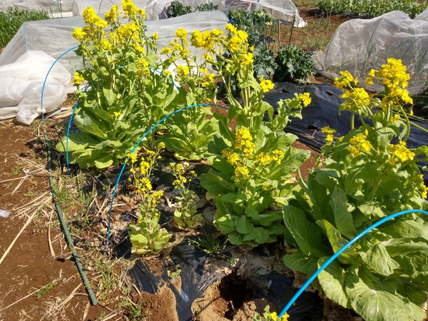 IMAG0549.jpg
