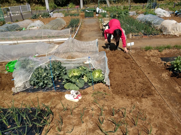 IMAG0552.jpg